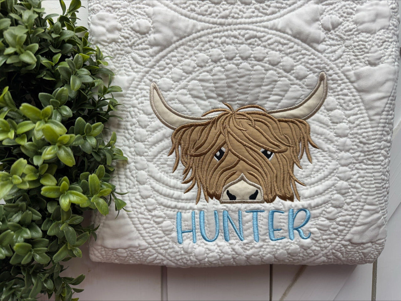 HIGHLAND COW - BOY